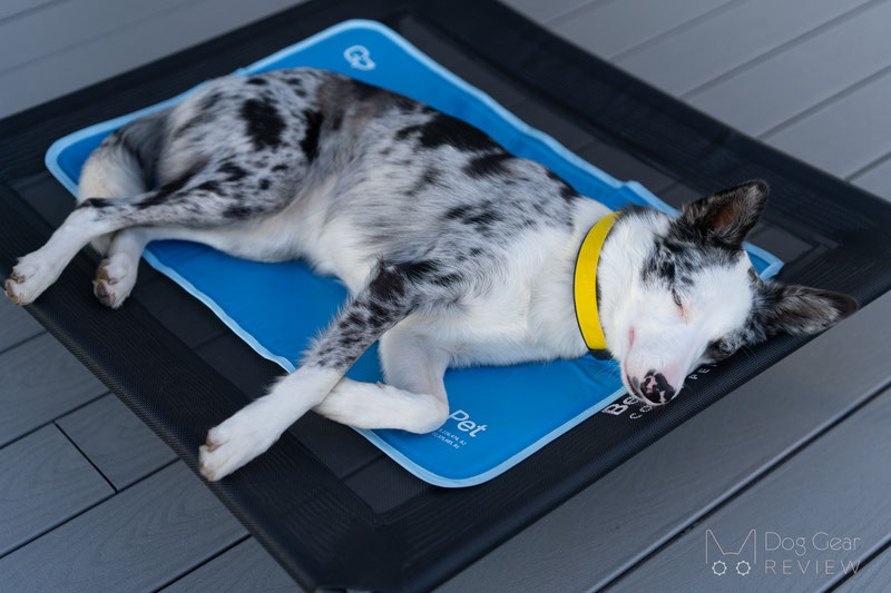 Green Pet Cool Pet Pad Review | Dog Gear Review