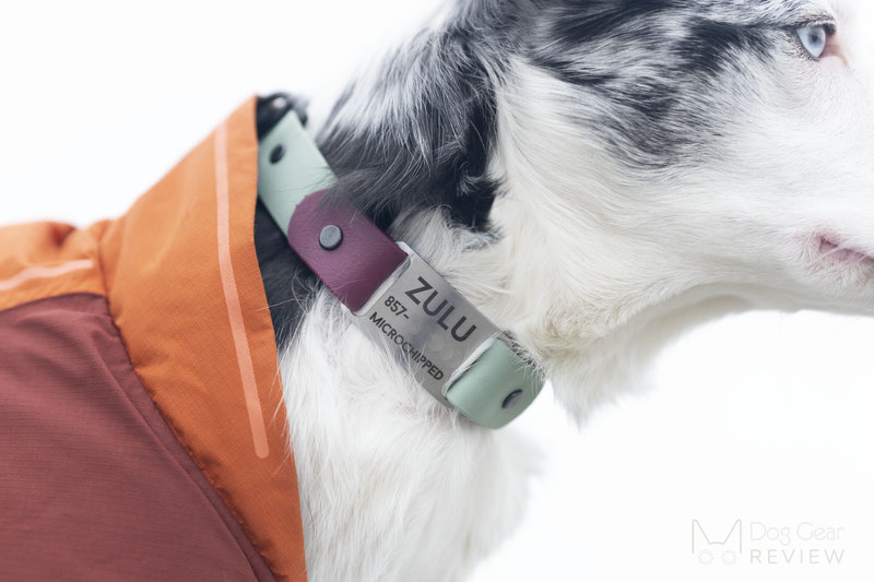 High Tail Hikes Biothane Collar & Leash Set Review | Dog Gear Review