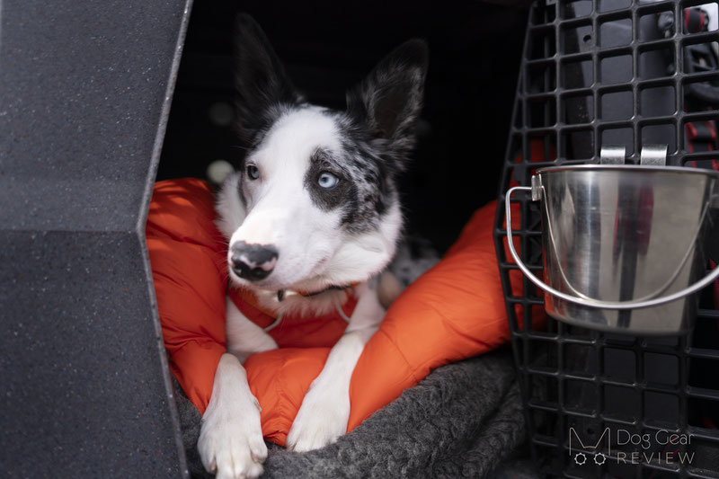 Hound Adventure Sleeping Bag Review | Dog Gear Review