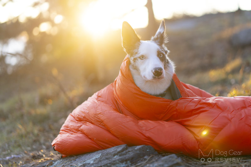 Hound Adventure Sleeping Bag Review | Dog Gear Review