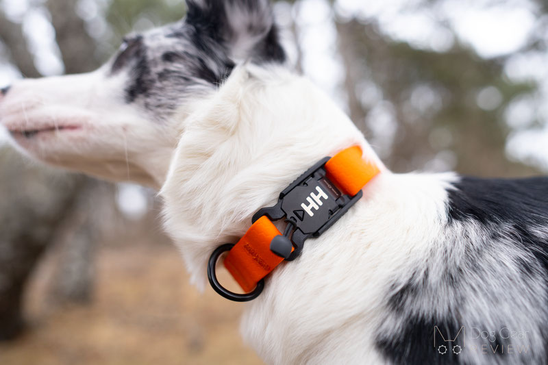 Howl House Camper Collar Review | Dog Gear Review