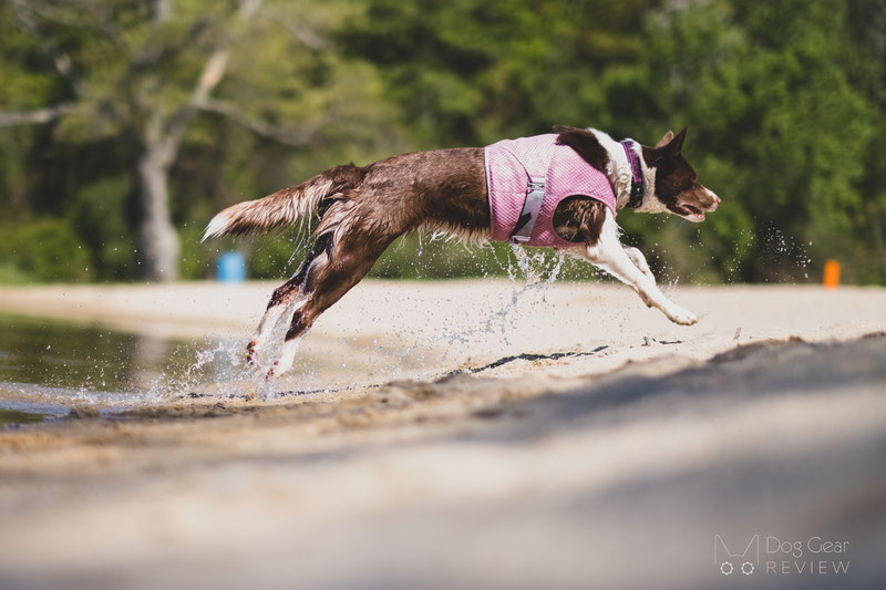 Hurtta cooling outlet vest