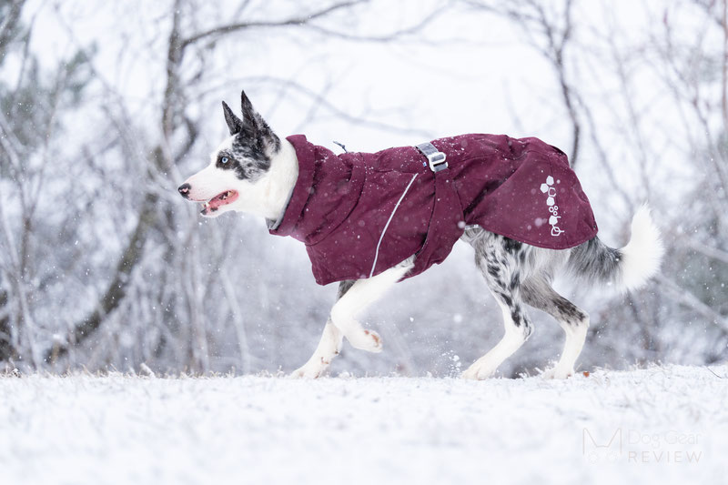 Hurtta Extreme Warmer III Eco Review | Dog Gear Review