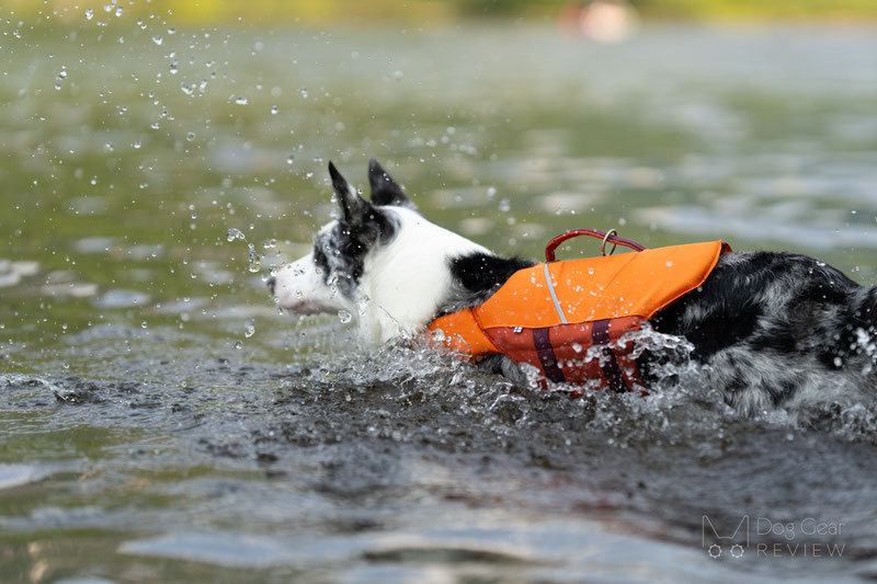 Hurtta Life Savior ECO Life Vest Review | Dog Gear Review