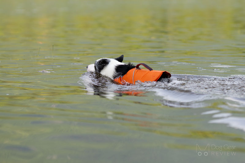 Hurtta Life Savior ECO Life Vest Review | Dog Gear Review