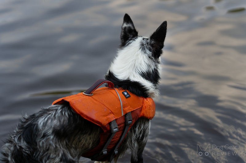 Hurtta Life Savior ECO Life Vest Review | Dog Gear Review
