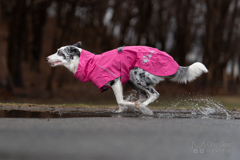 Hurtta Monsoon Raincoat II ECO Review | Dog Gear Review
