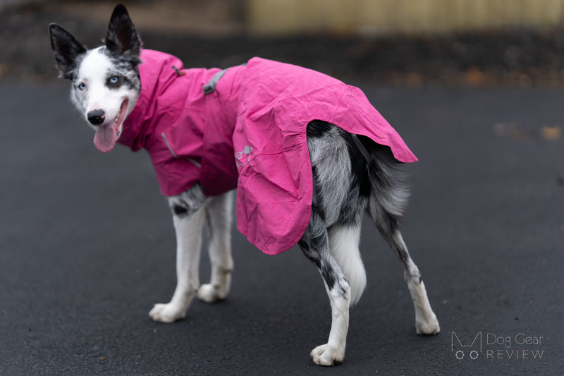 Hurtta Monsoon Raincoat II ECO Review | Dog Gear Review