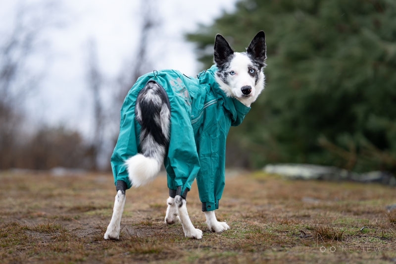Hurtta Mudventure Overall Eco Review | Dog Gear Review