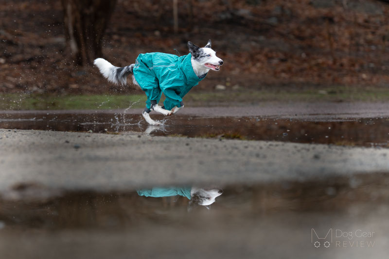 Hurtta Mudventure Overall Eco Review | Dog Gear Review