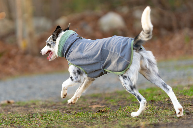 Hurtta Razzle-Dazzle Midlayer Review | Dog Gear Review