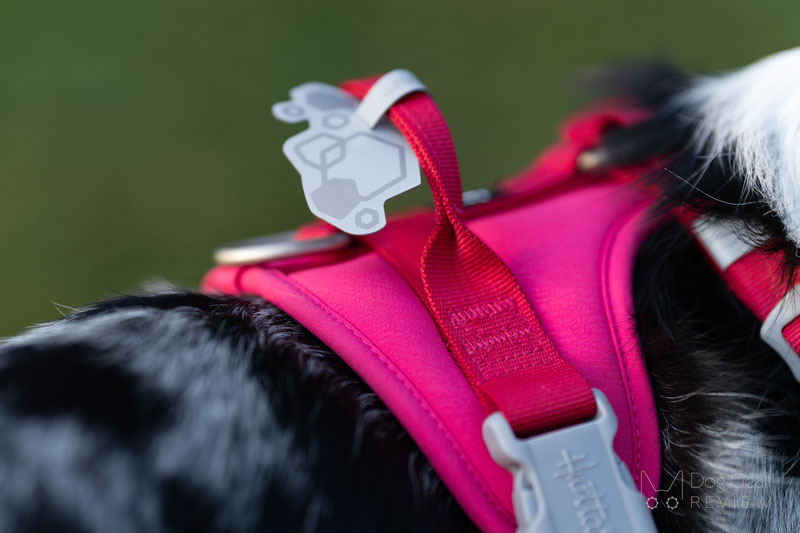 Hurtta Weekend Warrior II ECO Harness Review | Dog Gear Review
