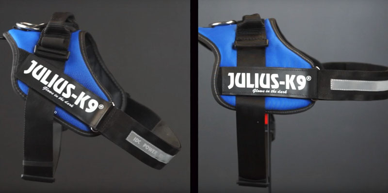 Julius-K9 IDC® Powerharness Review | Dog Gear Review