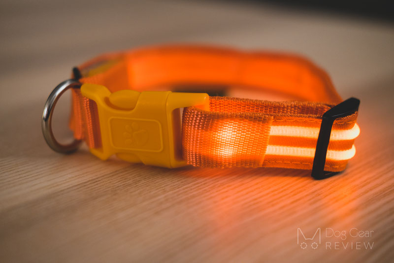 Illumiseen LED Collar, Necklace and Leash Review | Dog Gear Review