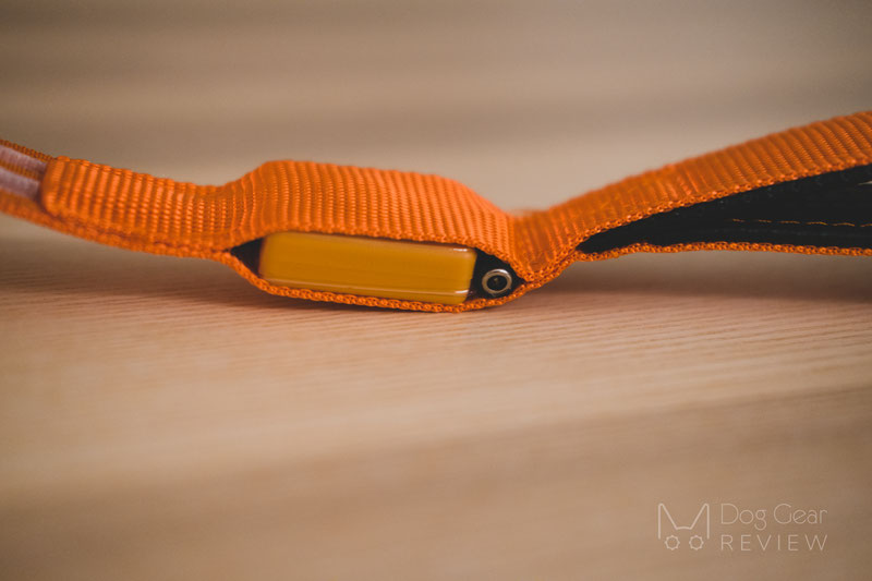 Illumiseen LED Collar, Necklace and Leash Review | Dog Gear Review