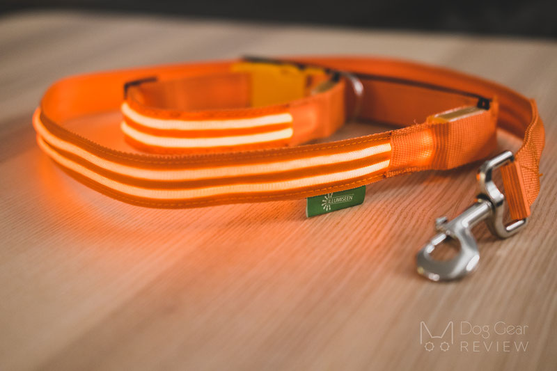 Illumiseen LED Collar, Necklace and Leash Review | Dog Gear Review