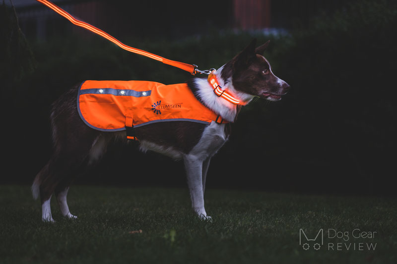 Illumiseen collar clearance