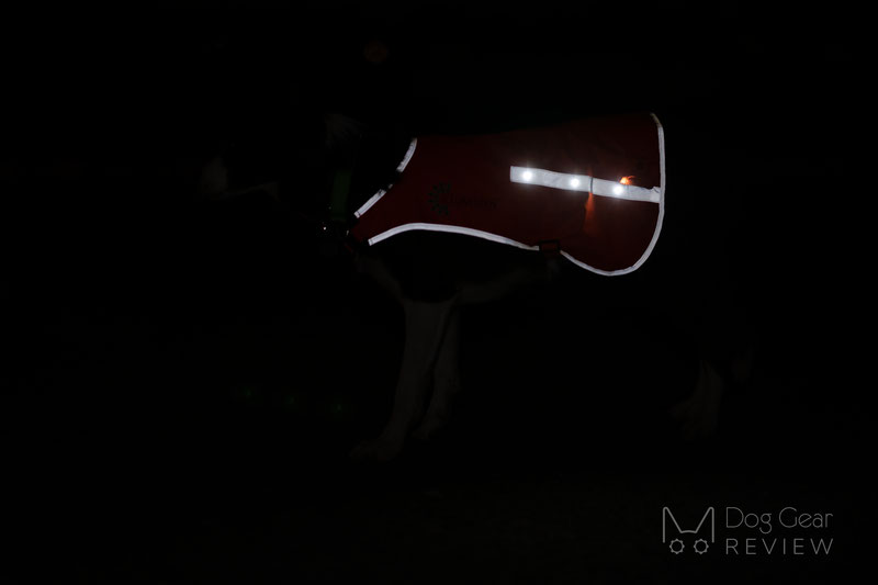 Illumiseen LED Dog Vest Review | Dog Gear Review