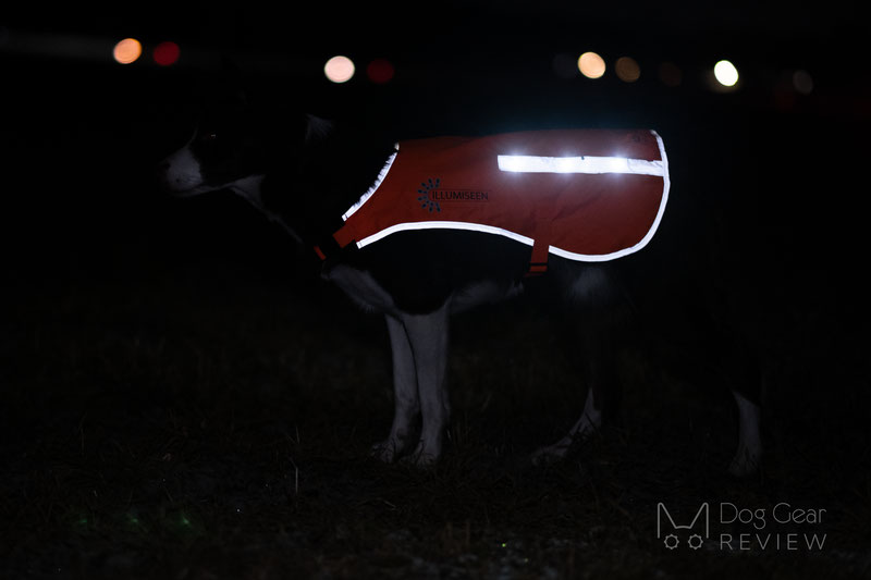 Illumiseen LED Dog Vest Review | Dog Gear Review
