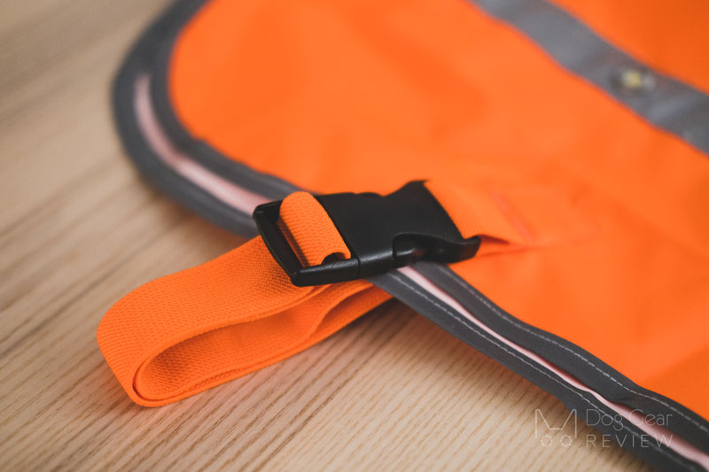 Illumiseen LED Dog Vest Review | Dog Gear Review