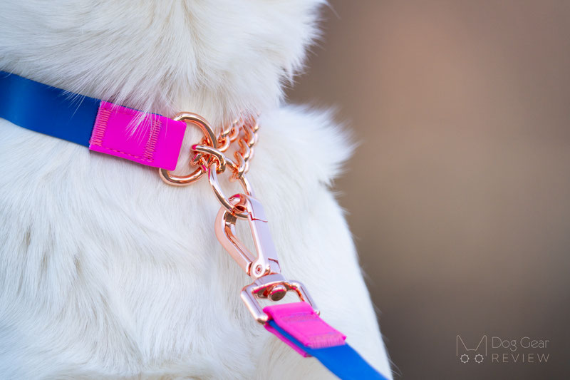 Jax Planet Jelly Color-Block Leash and Collar Review | Dog Gear Review