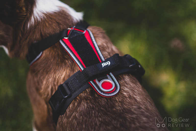 Julius-K9 Speed Harness Review | Dog Gear Review