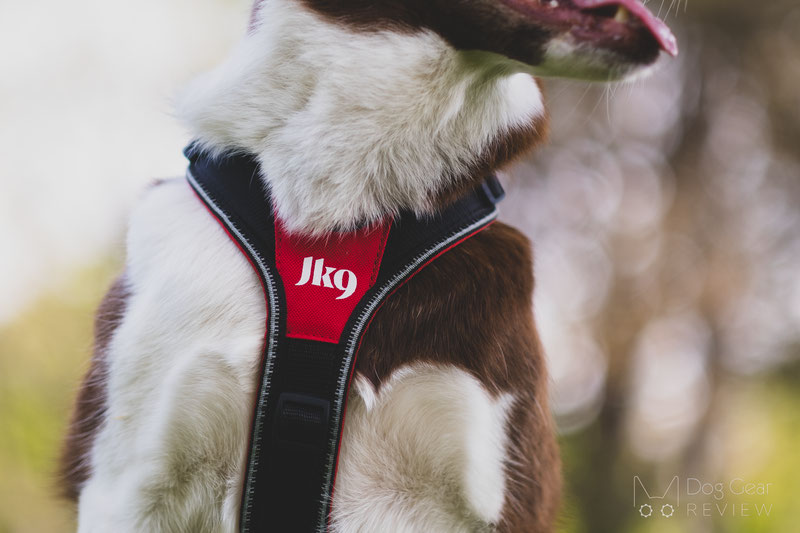 Julius-K9 Speed Harness Review | Dog Gear Review