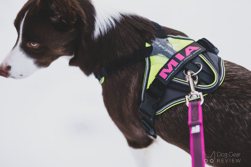 Julius-K9 IDC® Longwalk Harness Review | Dog Gear Review