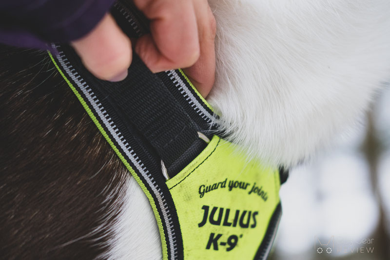 Julius-K9 IDC® Longwalk Harness Review | Dog Gear Review