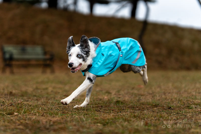 Pomppa KuoriPomppa Review | Dog Gear Review