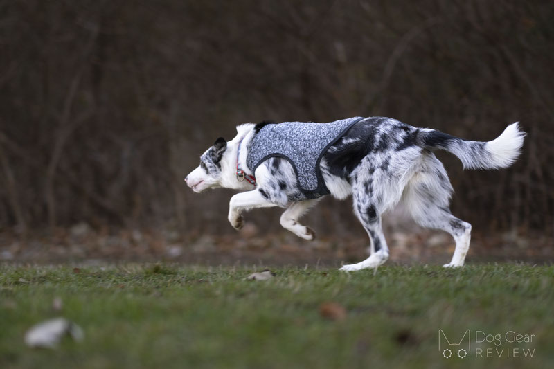 Kurgo K9 Core Sweater Review | Dog Gear Review