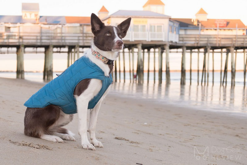 Kurgo loft waterproof sales dog jacket