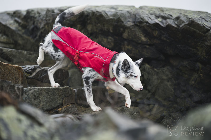 Kurgo North Country Dog Coat Review Dog Gear Review