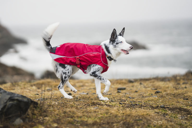  Kurgo North Country Dog Coat Review | Dog Gear Review