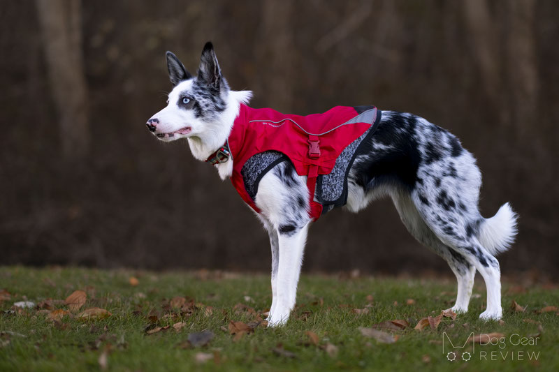 Kurgo north country dog 2024 coat