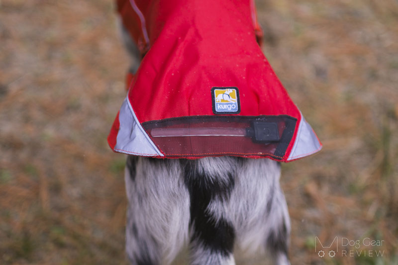  Kurgo North Country Dog Coat Review | Dog Gear Review
