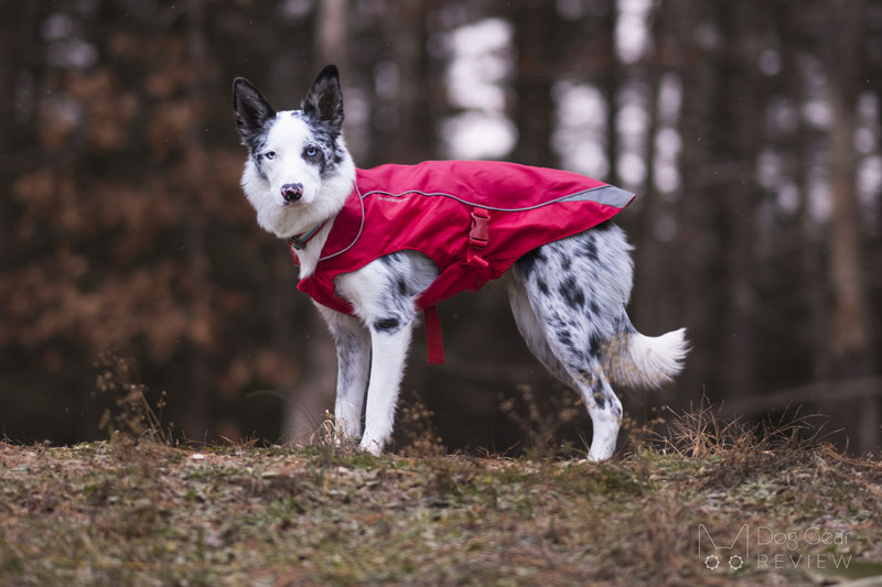 Country dog outlet coats