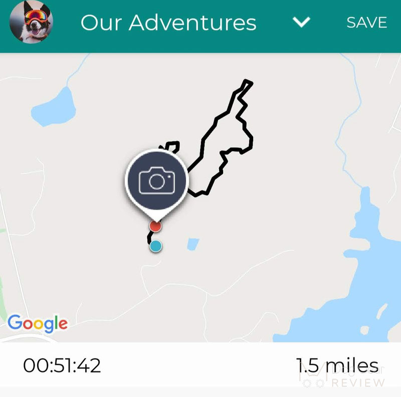 Link Activity and Location Tracker Review | Dog Gear Review