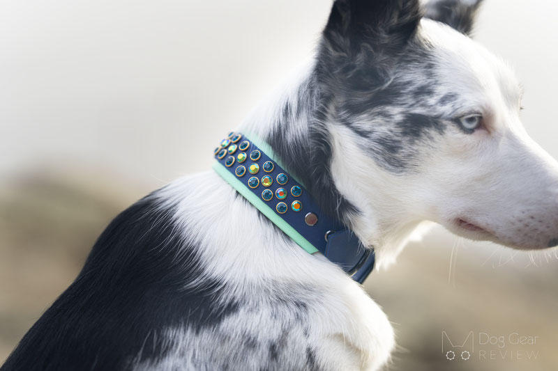 Lone Dog Collars - Crystal Biothane Collar Review | Dog Gear Review
