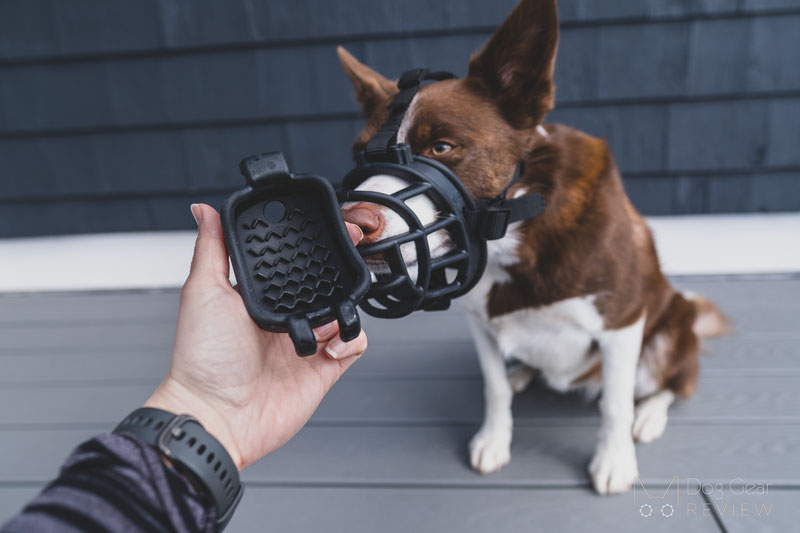 Review of the LuckyPaw Muzzle with a Removable Slow Feeder | Dog Gear Review