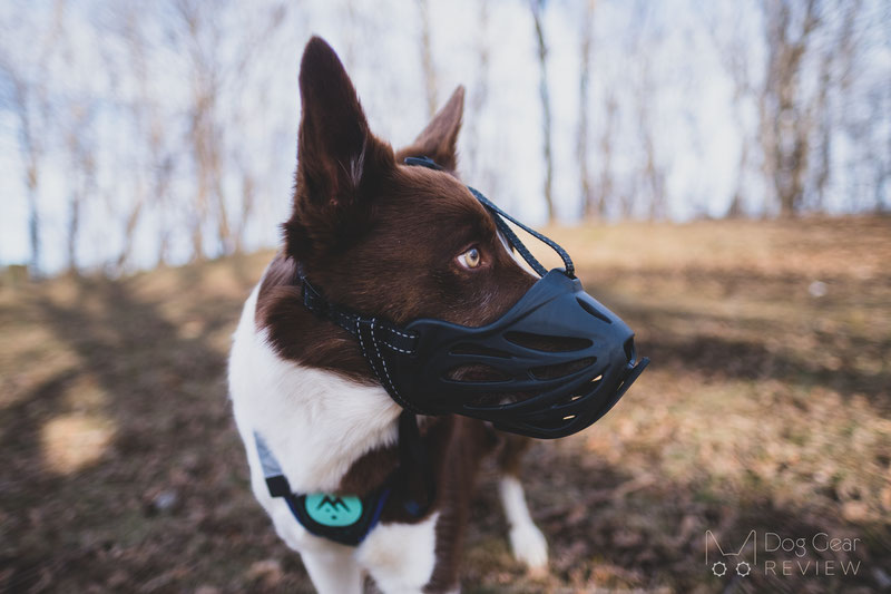 LUCKYPAW Dog Muzzle, Soft Dog Muzzles for Small Medium Large Dogs,  Breathable Printed Muzzles with Adjustable Strap to Stop Biting and  Chewing, Allows