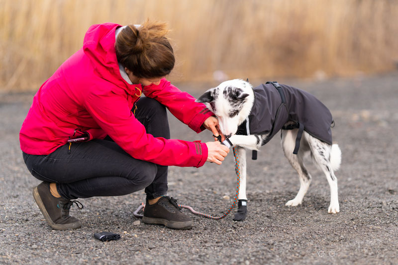 Lumac Foot Armour Booties Review Dog Gear Review