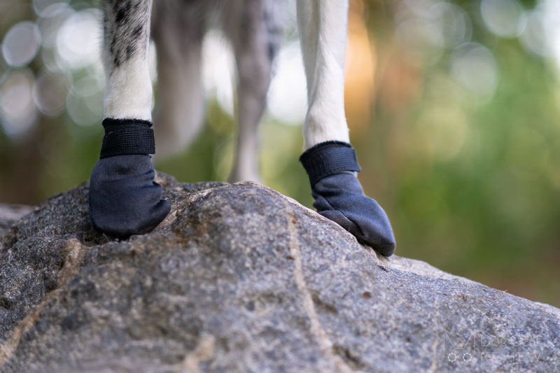 Lumac Foot Armour Booties Review | Dog Gear Review