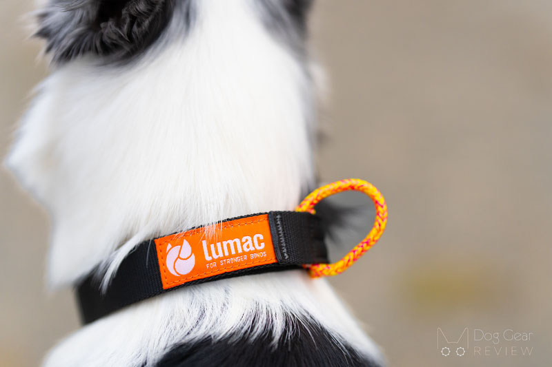 Lumac ECO Leash and nOring Collar Review | Dog Gear Review
