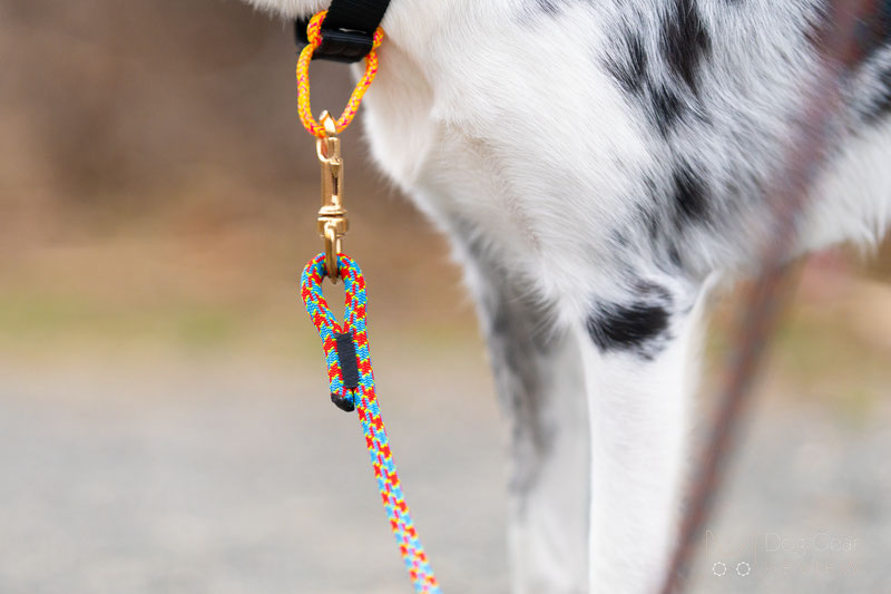 Lumac ECO Leash and nOring Collar Review | Dog Gear Review