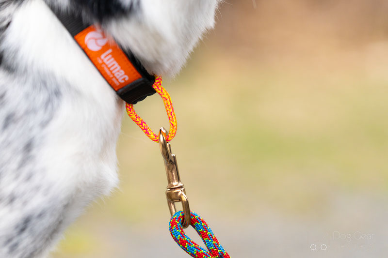 Lumac ECO Leash and nOring Collar Review | Dog Gear Review