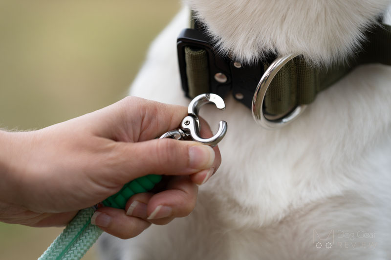 MAOGOUBLUE Marshmallow Dog Leash Review | Dog Gear Review