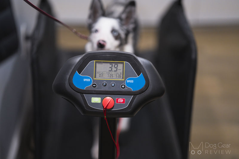 Maximum Canine Dog Runner Tracks Treadmill Review | Dog Gear Review