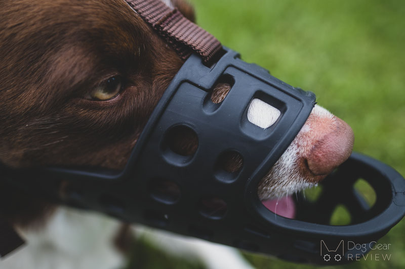 Mayerzon Long Muzzle Review | Dog Gear Review