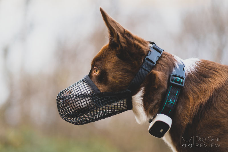 Breathable Mesh Muzzle for Biting Barking and Unwanted Chewing 5 Sizes for Small Medium and Large Dogs Able to Pant and Drink Mayerzon Dog Muzzle 